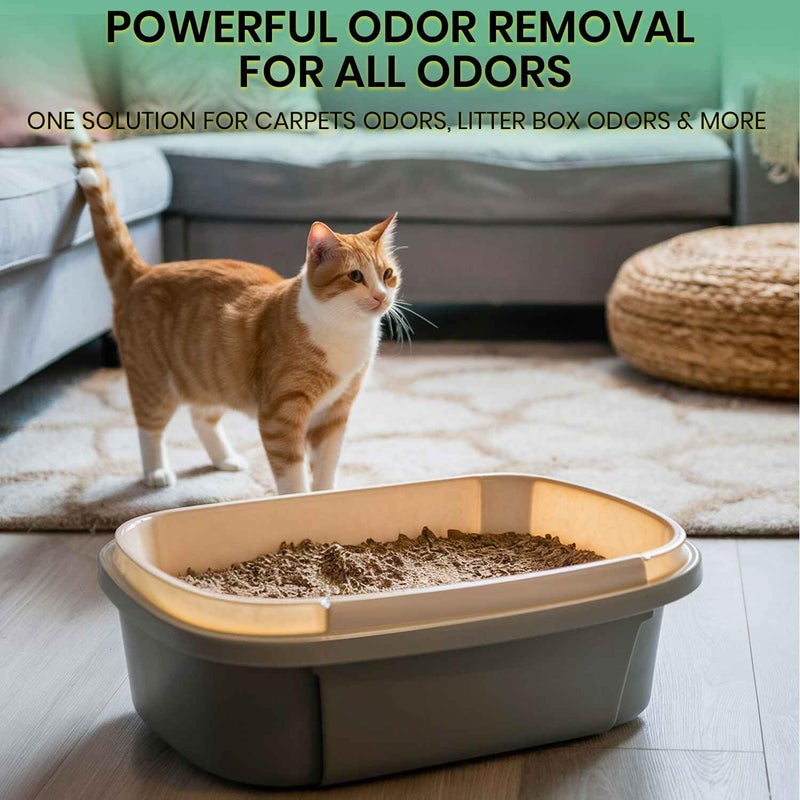 ZORBX Unscented Pet Odor Remover Spray 24 FL Oz â€“ Perfume Free Strong Litter Odor Remover - Advanced Odor Control for Carpet, Bathroom & Urine Odors - Fast Acting Odor Remover Spray for Dogs & Cats - Image 3